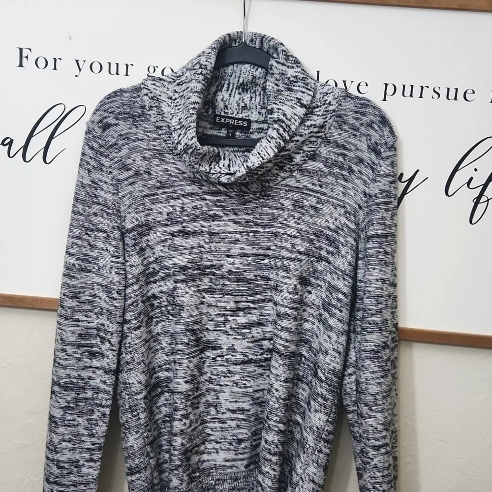 Express 100%Cotton Sweater Size Small Contemporary Collegiate Casual Mens